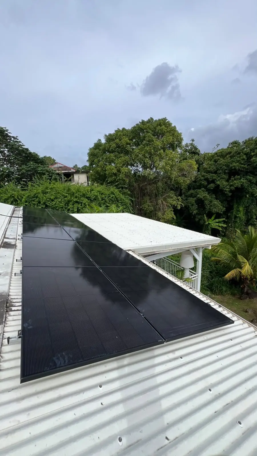 Panneaux solaires sur une toiture en tôle blanche entourée de végétation tropicale